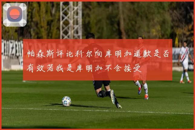 帕森斯评论科尔向库明加道歉是否有效若我是库明加不会接受